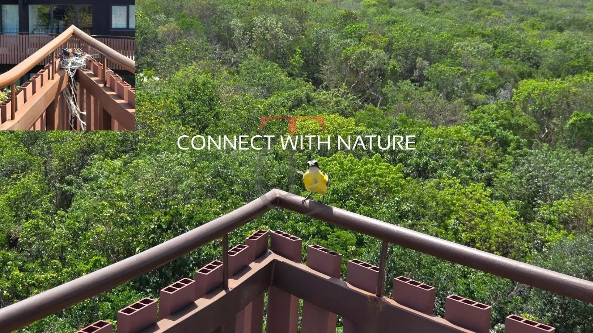 Apartment With Private Jacuzzi And Beach Club Tulum